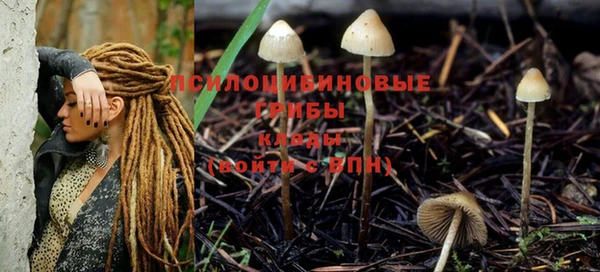 прущий лед Братск