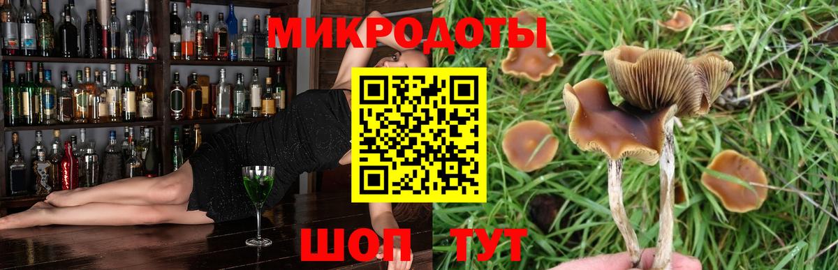 Псилоцибиновые грибы Psilocybe  Вход с VPN  Чапаевск  Галлюциногенные грибы ЛСД 